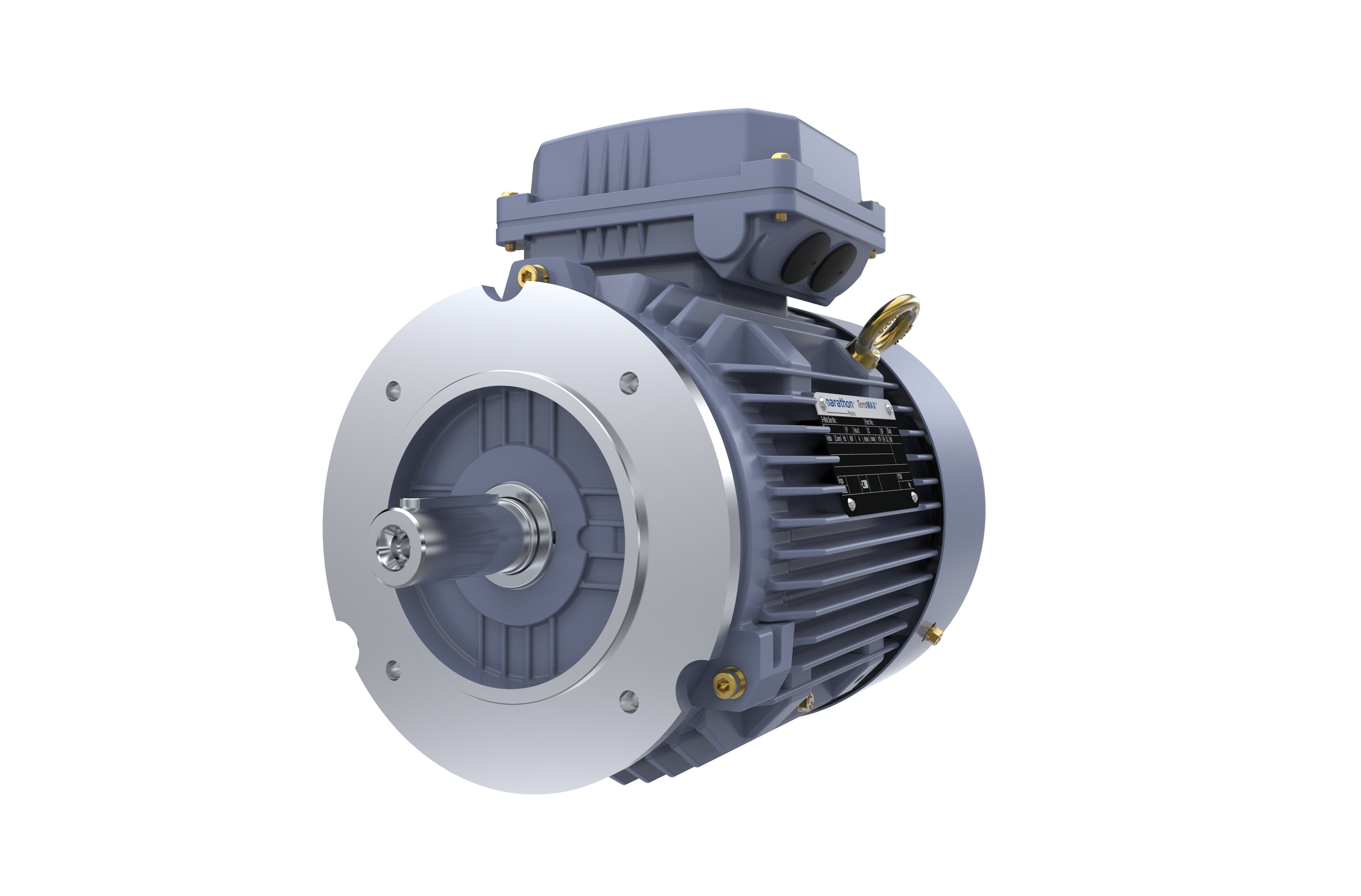 Marathon, Cast Iron Motor, 0.75 kW,  3 Ph,  50 Hz,  50 Hz,  415 V,  1500 RPM,  80M Frame,  TEFC