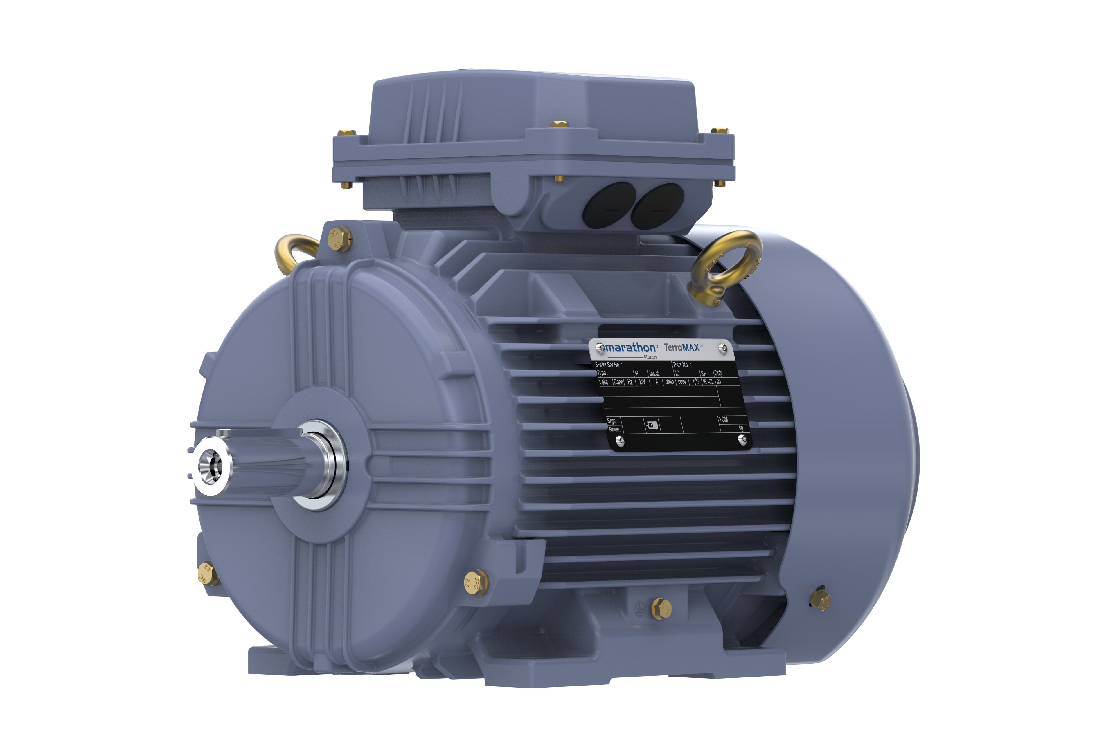 Marathon, Cast Iron Motor, 0.75 kW,  3 Ph,  50 Hz,  50 Hz,  415 V,  1000 RPM,  90S Frame,  TEFC