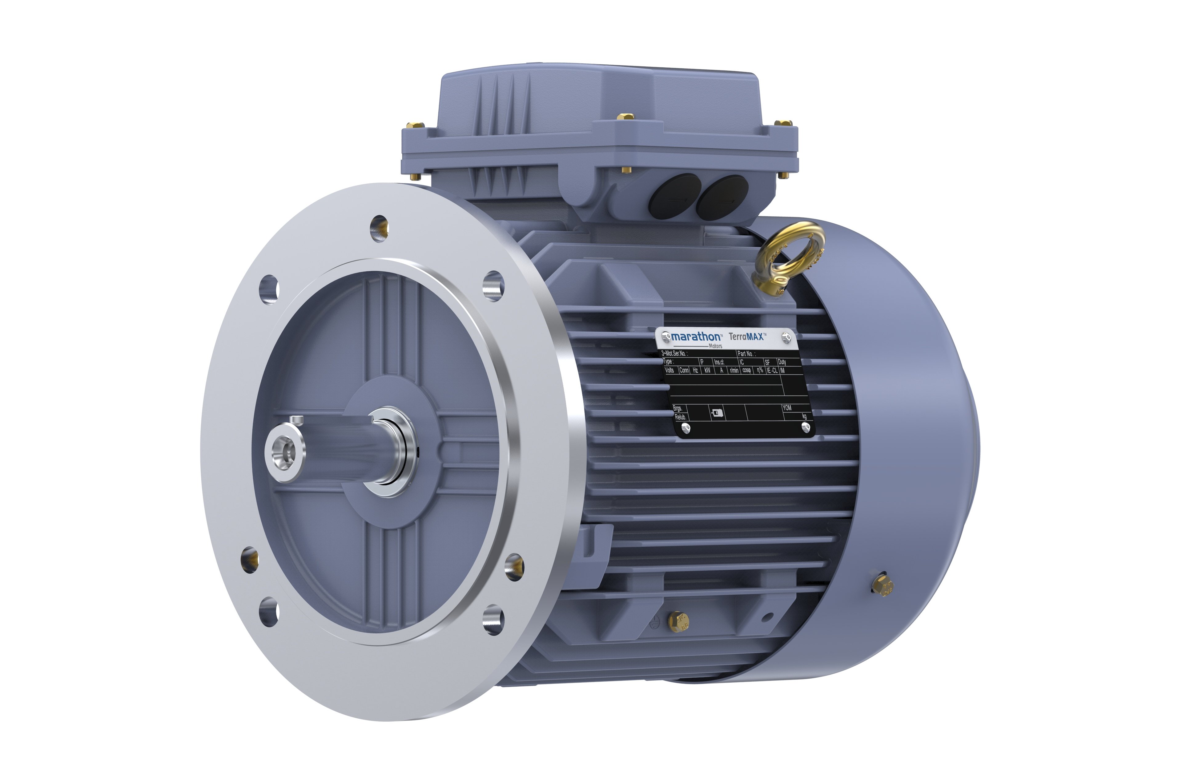 Marathon, Cast Iron Motor, 0.75 kW,  3 Ph,  50 Hz,  50 Hz,  415 V,  1000 RPM,  90S Frame,  TEFC