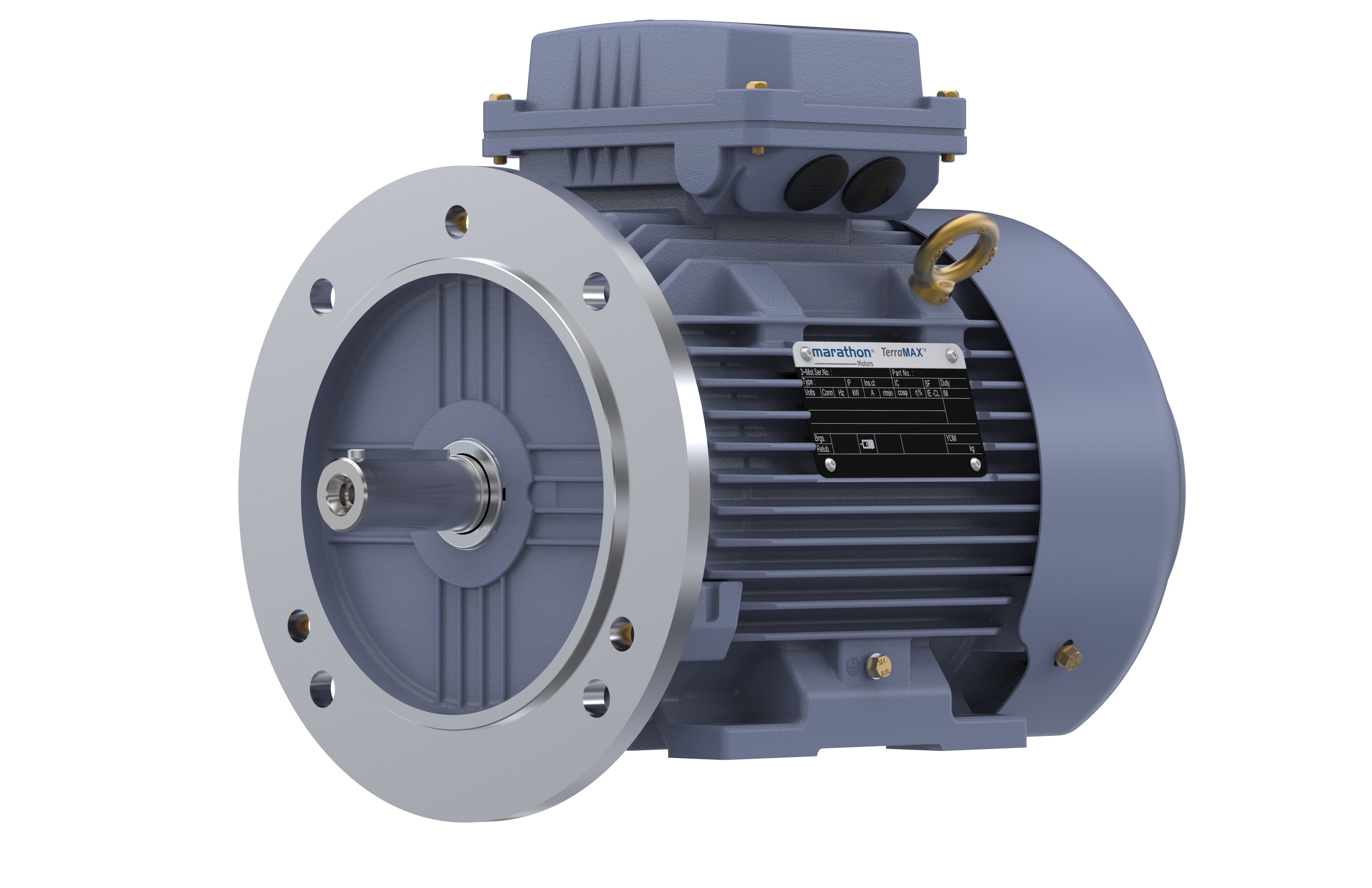 Marathon, Cast Iron Motor, 0.75 kW,  3 Ph,  50 Hz,  50 Hz,  415 V,  1000 RPM,  90S Frame,  TEFC